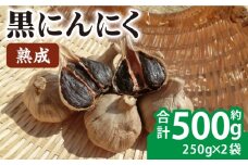 熟成 黒にんにく 合計約500g（250g×2袋） / 熟成 サラダ トッピング 隠し味 健康 / 大村市 / 株式会社三浦かんさく市[ACAE001]