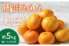 長崎県産 温州みかん 約5kg / みかん 蜜柑 ミカン 5kg フルーツ ふるーつ 果物 くだもの  / 大村市 / 株式会社三浦かんさく市 [ACAE003]