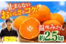 【先行予約・11月中旬発送開始】長崎県産 温州みかん 約2.5kg / みかん 柑橘 2.5kg フルーツ 果物 / 大村市 / 山光農園[ACAI001]