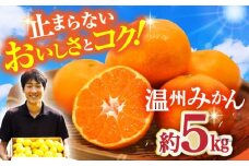 【先行予約・11月中旬発送開始】長崎県産 温州みかん 約5kg / みかん 柑橘 5kg フルーツ 果物 / 大村市 / 山光農園[ACAI002]