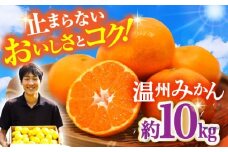 【先行予約・11月中旬発送開始】長崎県産 温州みかん 約10kg / みかん 柑橘 10kg フルーツ 果物 / 大村市 / 山光農園[ACAI003]