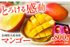 【2025年6月下旬から順次発送】 大村マンゴー 約800g (2L×2個) / 先行予約 マンゴー アップルマンゴー まんごー フルーツ トロピカルフルーツ 甘い 期間限定 国産 冷蔵配送  / 大村市 / 県央リサイクル開発[ACBC001]