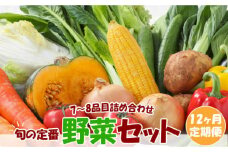 【定期便12回コース】旬の定番野菜セット 使いやすい野菜を厳選 7〜8品目 詰め合わせ / 季節 旬 春野菜 夏野菜 秋野菜 / 大村市 / 古瀬青果[ACBD003]