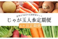 【定期便6回コース】 じゃが玉人参セット 約5kg じゃがいも・玉ねぎ・人参の定番野菜 3品目の野菜詰め合わせ 夏季は7〜8品目 野菜 セット / 旬 旬野菜 野菜 定番 / 大村市 古瀬青果[ACBD008]
