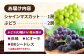 ぶどう マスカット ブドウ フルーツ デザート 産地直送 旬 新鮮 ますかっと