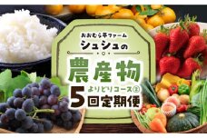 ※今後受付しない※【全5回定期便】シュシュの農産物よりどりコース２ / 野菜 フルーツ 果物 米 / 大村市 / おおむら夢ファームシュシュ[ACAA073]