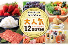 ※今後受付しない※【全12回定期便】シュシュ大人気コース復刻版１ / 野菜 果物 旬 新鮮 いちご トマト / 大村市 / おおむら夢ファームシュシュ[ACAA093]
