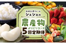 ※今後受付しない※【5回定期便】シュシュの農産物よりどりコース / いちご 苺 梨 なし 野菜 / 大村市 / おおむら夢ファームシュシュ[ACAA074]