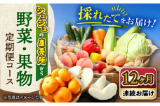 【12回定期便】野菜果物定期便コース / 便利な定期便 バラエティ定期便 フルーツ 定期 野菜セット 野菜 定期便 果物 くだもの フルーツ フルーツ定期便 / 大村市 / おおむら夢ファームシュシュ[ACAA092]