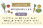 野菜 フルーツ 果物 定期便 旬 新鮮 詰合せ 野菜セット フルーツ定期便 