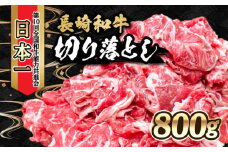 内閣総理大臣賞受賞！長崎和牛 切り落とし 800g / 長崎和牛 国産 和牛 黒毛和牛 牛 牛肉 切り落とし すき焼き / 大村市 / かとりストアー[ACAN003]