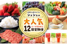 ※今後受付しない※【12回定期便】シュシュ大人気コース復刻版２/ フルーツ 長崎和牛 野菜 / 大村市 / おおむら夢ファームシュシュ[ACAA094]