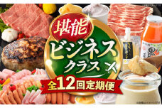 【12回定期便】ビジネスクラス定期便（ ジュース ハンバーグ ハムセット ジェラート プリン ジュレ 長崎和牛 豚肉 ）/ 便利な定期便 バラエティ定期便 バラエティ/ 大村市 おおむら夢ファームシュシュ[ACAA098]