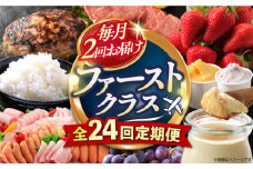 【24回定期便】毎月 2回 お届け！ファーストクラス 定期便（ ハンバーグ 長崎和牛 カレー プリン いちご ジェラート チーズ ハムセット 豚肉 ジュレ 豆腐 ぶどう お米 ジュース ）/ 便利な定期便 バラエティ定期便 バラエティ 定期便 / 大村市 / おおむら夢ファームシュシュ[ACAA102]