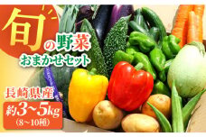 大村産とれたてお野菜おまかせセット(8〜10種)  / 季節 旬 春野菜 夏野菜 秋野菜 / 大村市 / かとりストアー[ACAN015]