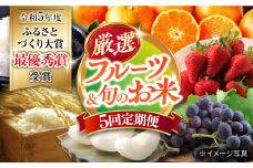 【5回定期便】厳選フルーツ＆旬のお米定期便（ いちご ぶどう 梨 お米 みかん ）/ 果物定期便 果物 お米 米 フルーツ定期便 フルーツ 定期 / 大村市 / おおむら夢ファームシュシュ[ACAA082]