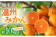 【2025年1月上旬発送開始】長崎県産 温州みかん (晩生系) 10kg 柑橘 果物 フルーツ 大村市 かとりストアー[ACAN055]