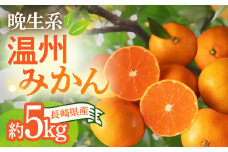 【2025年1月上旬発送開始】長崎県産 温州みかん (晩生系) 5kg 柑橘 果物 フルーツ 大村市 かとりストアー[ACAN056]