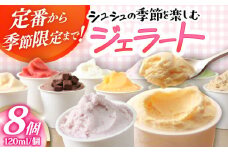シュシュの季節のジェラート8個セット / アイス あいす アイスクリーム あいすくりーむ ジェラート じぇらーと スイーツ すいーつ / 大村市 / おおむら夢ファームシュシュ[ACAA010]