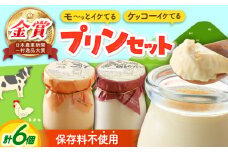 シュシュプリンとジャージーみるくプリンセット 6個入 / プリン ぷりん スイーツ ミルク みるく  / 大村市 / おおむら夢ファームシュシュ[ACAA013]