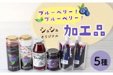 シュシュオリジナルブルーベリー加工品5種セット（ジュース・ジャム・ジュレ） / フルーツ ふるーつ くだもの 果実 ベリー ブルーベリー ぶるーべりー ブルーベリージャム ブルーベリージュース / 大村市 / おおむら夢ファームシュシュ[ACAA022]
