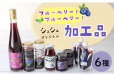 シュシュオリジナルブルーベリー加工品6種セット（ジュース・ジャム・ジュレ） / フルーツ ふるーつ くだもの 果実 ベリー ブルーベリー ぶるーべりー ブルーベリージャム ブルーベリージュース / 大村市 /  おおむら夢ファームシュシュ[ACAA023]