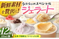 シュシュのシュシュのスペシャルジェラート12個セット（定番/季節限定/スペシャル2種） / アイス あいす アイスクリーム あいすくりーむ ジェラート じぇらーと スイーツ すいーつ / 大村市 / おおむら夢ファームシュシュ[ACAA038]