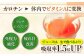 にんじん ニンジン ジュース フルーツ 野菜 ヘルシー 健康 野菜ジュース