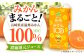 みかん みかんジュース ミカンジュース 蜜柑 ミカン  オレンジジュース ご当地 国産 長崎県産 100％ 長崎県 ジュース