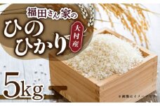 福田さんちの大村産ひのひかり5kg / 米 おこめ お米 白米 / 大村市 / 一般社団法人大村市物産振興協会[ACAB142]