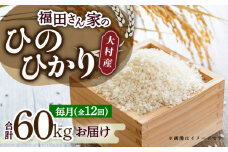 【全12回定期便】お米5kg 定期便コース / 米 おこめ お米 白米 / 大村市 / 一般社団法人大村市物産振興協会[ACAB143]