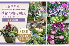 【4回定期便】おまかせ 季節の寄せ植え プランター / 寄せ植え 鉢植え テラコッタ鉢 花 季節の花 プランター / 大村市 アトリウム琴花園[ACZZ006]