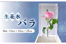 生花氷 バラ (12cm×12cm×25cm) 約4kg 氷 花 インテリア プレゼント ギフト 大村市 大村製氷[ACZN002]