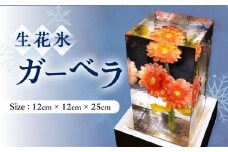 生花氷 ガーベラ (12cm×12cm×25cm) 約4kg 氷 花 インテリア プレゼント ギフト  大村市 大村製氷[ACZN003]
