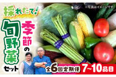 【 全6回定期便/偶数月】農家自慢 季節の野菜セット（7～10品目） / 詰め合わせ 野菜 やさい 野菜セット 野菜詰め合わせ 旬 春野菜 夏野菜 秋野菜 野菜定期便 / 大村市 /  産直松吉[ACZC002]