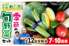 【全12回定期便】農家自慢 季節の野菜セット（7～10品目） / 詰め合わせ 野菜 やさい 野菜セット 野菜詰め合わせ 旬 春野菜 夏野菜 秋野菜 野菜定期便 / 大村市 / 産直松吉[ACZC003]