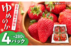 いちご「ゆめのか」4P / イチゴ 苺 いちご ゆめのか 果物 くだもの フルーツ ふるーつ / 大村市 / 産直松吉[ACZC005]