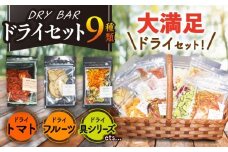 DRY BAR ドライバー Aセット 9種類 ドライフルーツ / ドライフルーツ お菓子 菓子 間食 おやつ / 大村市 / ファームいまみっちゃん[ACYL001]