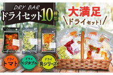 DRY BAR ドライバー Bセット 10種類 乾燥野菜 / ドライフルーツ お菓子 菓子 間食 おやつ / 大村市 / ファームいまみっちゃん[ACYL002]