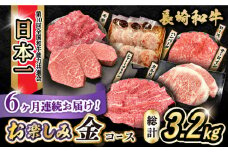 【6回定期便】長崎和牛お楽しみセット 金コース（シャトーブリアン・サーロインステーキ・長崎和牛入りハンバーグ・焼き肉用 カルビ・ロース・モモ） / 長崎和牛 和牛 牛肉 肉 / 大村市 / かとりストアー[ACAN066]
