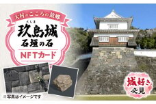 玖島城石垣の石 NFT 大村市 大村市役所観光振興課ふるさと物産室[ACBI002]