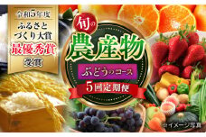 【5回定期便】旬の農産物 ぶどうコース / 野菜 やさい 果物 くだもの フルーツ ふるーつ 産地直送 ぶどう 葡萄 ブドウ フルーツ定期便 / 大村市 / おおむら夢ファームシュシュ[ACAA120]