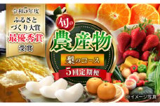 【5回定期便】旬の農産物 梨コース / 野菜 やさい 果物 くだもの フルーツ ふるーつ 産地直送 なし 梨 ナシ 農産物 フルーツ定期便 / 大村市 / おおむら夢ファームシュシュ[ACAA121]