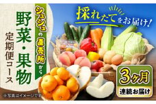 【3回定期便】シュシュの直売所から野菜・果物定期便コース / 便利な定期便 バラエティ定期便 フルーツ 定期 野菜セット 野菜 定期便 果物 くだもの フルーツ フルーツ定期便 / 大村市 / おおむら夢ファームシュシュ[ACAA164]