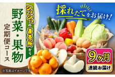 【9回定期便】シュシュの直売所から野菜・果物定期便コース / 野菜 やさい 果物 くだもの フルーツ ふるーつ 産地直送 フルーツ定期便 / 大村市 / おおむら夢ファームシュシュ[ACAA166]