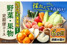 【6回定期便】シュシュの直売所から野菜・果物定期便コース / 便利な定期便 バラエティ定期便 野菜 やさい 定期便 果物 くだもの フルーツ ふるーつ 産地直送 フルーツ定期便 / 大村市 / おおむら夢ファームシュシュ[ACAA165]