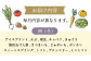 野菜 フルーツ 果物 定期便 旬 新鮮 詰合せ 定期便 12回 産地直送 農産物 農産品 野菜定期便 フルーツ定期便