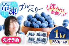 【2026年7月上旬頃より順次発送予定】冷凍ブルーベリー 1kg（250g×4袋）/ ベリー べりー ブルーベリー ぶるーべりー 冷凍 小分け 果物 くだもの フルーツ ふるーつ / 大村市 / おおむら夢ファームシュシュ[ACAA004]