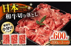 長崎和牛 切り落とし肉 600g / 牛肉 切り落とし 切落し きりおとし すき焼き すきやき しゃぶしゃぶ 小分け / 大村市 / おおむら夢ファームシュシュ[ACAA140]