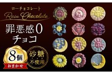 栄養たっぷりローチョコレート8個入り / ローチョコレート チョコ チョコレート ちょこれーと ローカカオ カカオ 砂糖不使用 カロリーオフ 低カロリー スイーツ お菓子 / 大村市 / ROSSO raw sweets [ACBQ001]